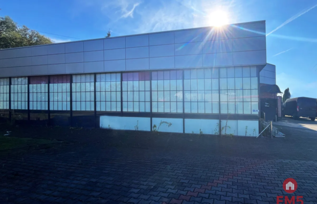 Budynek 800 m2  handel-usługi-produkcja