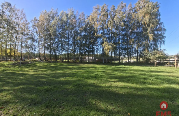 Siedlisko na Mazurach