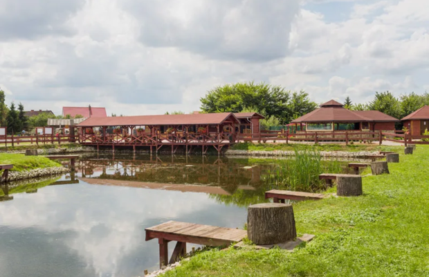 Łowisko i smażalnia „Pan Pstrąg” na sprzedaż – gotowy obiekt gastronomiczno-rekreacyjny, Bolkowice k. Jawora