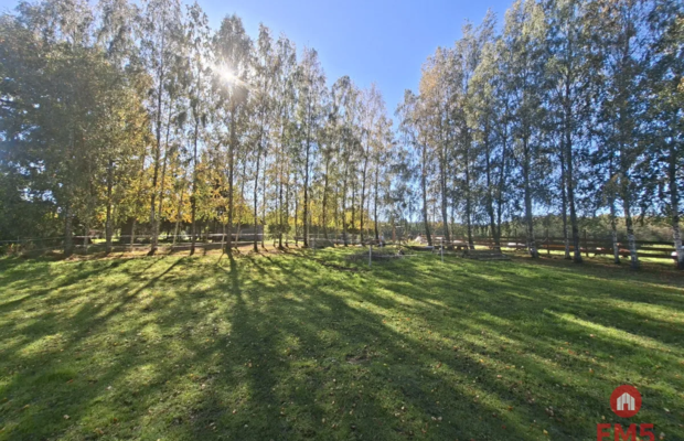 Siedlisko na Mazurach