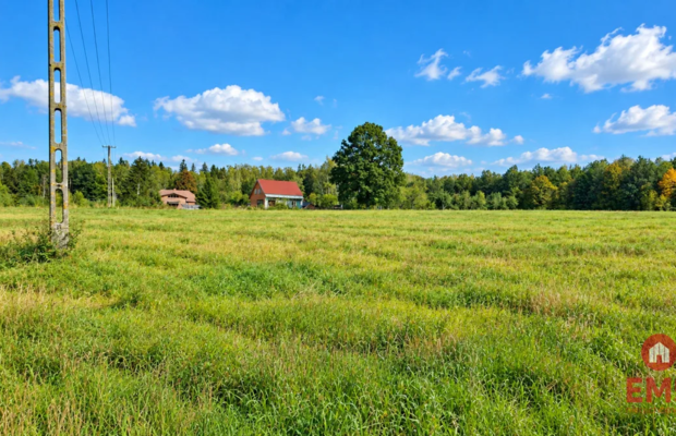 Działka pod lasem. Łubianka