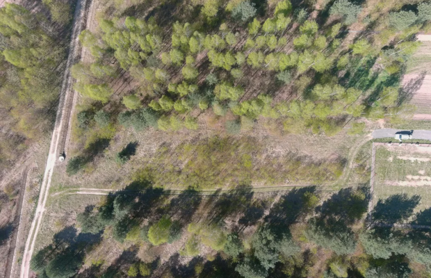 Nowa Gorzelnia k.Blachowni | Działka na sprzedaż
