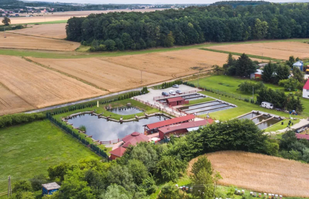 Łowisko i smażalnia „Pan Pstrąg” na sprzedaż – gotowy obiekt gastronomiczno-rekreacyjny, Bolkowice k. Jawora
