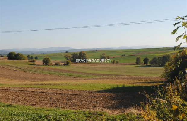 Działka budowlano-rolna w Brzeziu gm.Kłaj