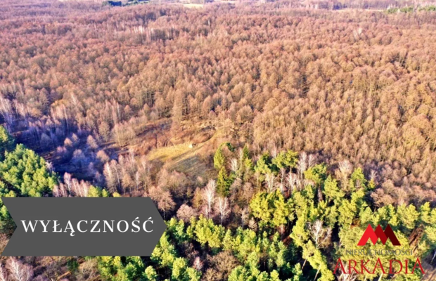 Działka leśna/Wistka Królewska