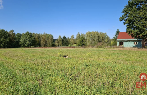 Działka pod lasem. Łubianka