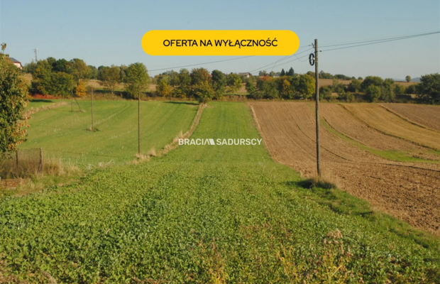 Działka budowlano-rolna w Brzeziu gm.Kłaj