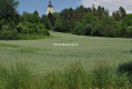 Duża działka inwestycyjna w Brzeziu gm.Kłaj