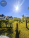 WYPOSAŻONY APARTAMENT W SERCU PLAYA FLAMENCA