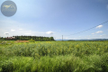 DZIAŁKA BUDOWLANA Z WIDOKIEM NA GÓRY/ KRZCZONÓW