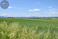 DZIAŁKA BUDOWLANA Z WIDOKIEM NA GÓRY/ KRZCZONÓW