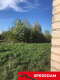 Anielpol - działka  5200m2