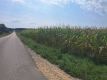 Malinówka, gm. Cyców - działka budowlana