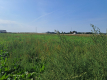 Malinówka, gm. Cyców - działka budowlana