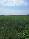 Uzbrojona działka. Gm. Puchaczów