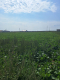 Działka budowalna 16a - Gm. Puchaczów - Turowola.