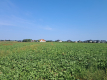 Działka budowalna 16a - Gm. Puchaczów - Turowola.