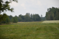 Działka rolna, Brzeźnica Książęca Kolonia, 1,77 ha