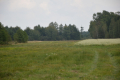 Działka rolna, Brzeźnica Książęca Kolonia, 1,77 ha