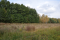 Działka, Klarów, 1,09 ha