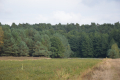Działka, Klarów, 1,09 ha