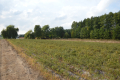 Działka, Klarów, 1,09 ha