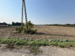 Działka rolno-budowlana 0,31 ha w Gołębiu k/Puław.