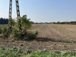 Działka rolno-budowlana 0,62 ha w Gołębiu k/Puław.