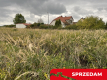 Działka z wykonanym podziałem w Końskowoli