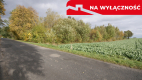 Uporządkowana działka 20a Wola Duża Kol.