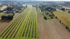 Działka, Motycz, 8.5ar, budownictwo jednorodzinne