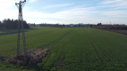 Działka rolno-budowlana 0,62 ha w Gołębiu k/Puław.