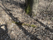 Działka o pow. 2,08 ha w m. Kawęczyn gm. Ciepielów