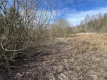 Działka o pow. 2,08 ha w m. Kawęczyn gm. Ciepielów