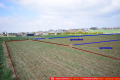 Kalinówka- 10 ar z dopuszcz. zabud. mieszk. media