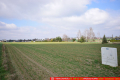 Kalinówka- 10 ar z dopuszcz. zabud. mieszk. media