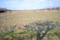 Działka rolna w Motyczu, pow. 6800 m2