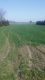 Jakubowice Kon. - Szeroka działka budowlana