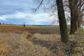 Działka inwestycyjna w Zemborzycach Kościelnych