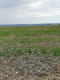 Działka inwestycyjna 4,5 ha bezpośrednio przy S12