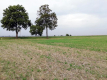 Działka inwestycyjna 4,5 ha bezpośrednio przy S12