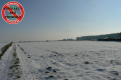 Krężnica Jara 8km od Lublina. 8000m2
