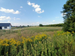 Działka 1,63 ha pod zabudowę w gm. Lubartów.