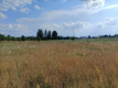 Działka 1,63 ha pod zabudowę w gm. Lubartów.