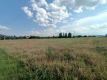 Działka 1,63 ha pod zabudowę w gm. Lubartów.