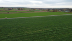 Działka, Zalesie, Wilkołaz, 11 ar, budowlana