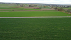 Działka, Zalesie, Wilkołaz, 11 ar, budowlana