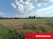 Dwie działki budowlane w Nowodworze gm.  Lubatów.