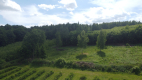 Działka 3580 m2 w Kazimierzu Dolnym 4 km od rynku.