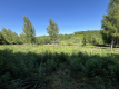 Działka 3580 m2 w Kazimierzu Dolnym 4 km od rynku.